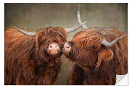 Adesivo murale Kiss me - Highland cattle