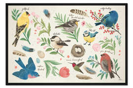 Gerahmter Kunstdruck Vogelstudie