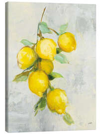 Tableau sur toile  Citrons - Julia Purinton