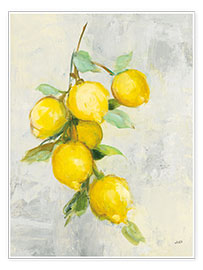 Wall print  Lemons - Julia Purinton
