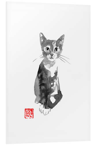 Quadro em PVC Grey Kitten