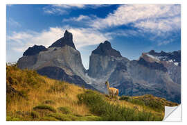 Selvklebende plakat Guanaco in Torres del Paine National Park