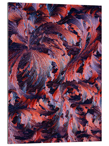 Gallery print Autumn leaves