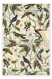 Poster Birds and magnolias