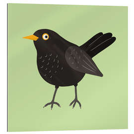 Gallery print Blackbird