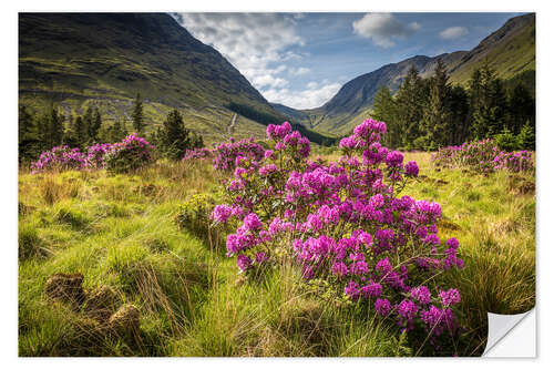 Selvklæbende plakat Wild rhododendron in the highlands