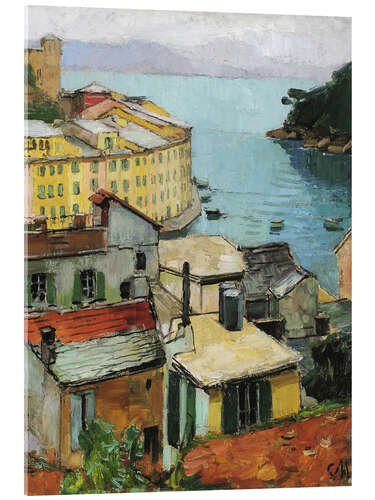 Acrylglas print Portofino