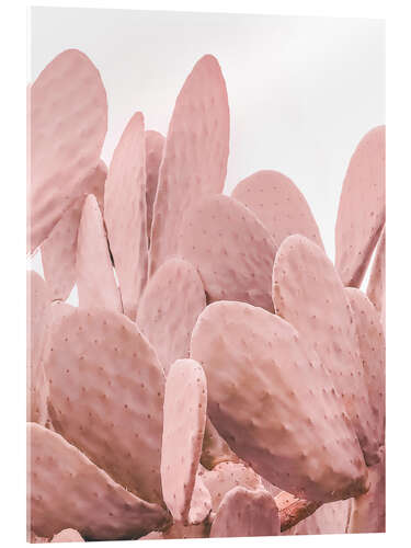 Acrylic print Pink Cactus