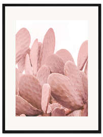Gerahmter Kunstdruck Rosa Kaktus