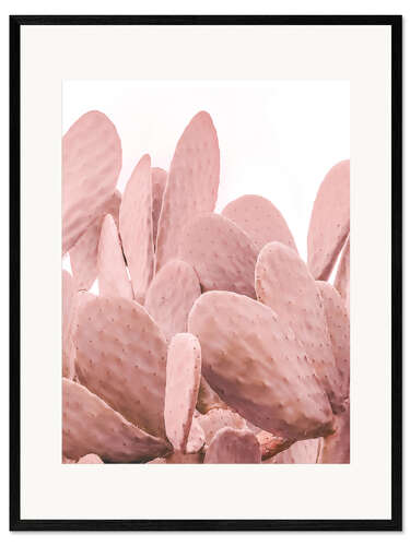 Gerahmter Kunstdruck Rosa Kaktus