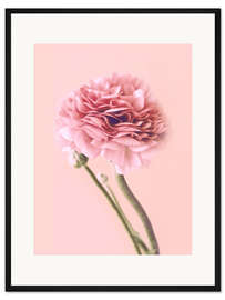 Gerahmter Kunstdruck Rosa Butterblume