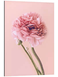 Magnettafel Rosa Butterblume