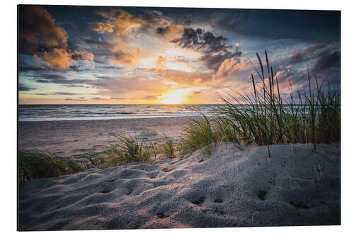 Aluminium print Ahrenshoop beach