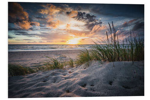 Foam board print Ahrenshoop beach