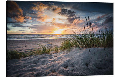 Gallery Print Strand Ahrenshoop