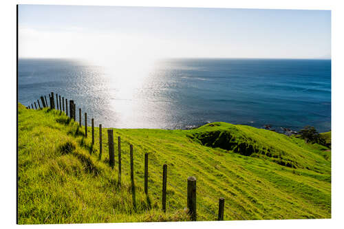 Aluminiumsbilde Green meadows & blue sea in New Zealand