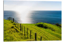 Gallery print Green meadows &amp; blue sea in New Zealand