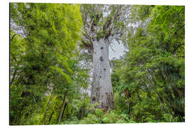 Magnettafel Tane Mahuta, Kauri Riesenbaum