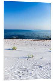 Foam board print The beach and the sea