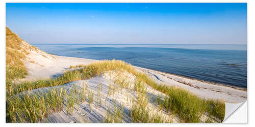 Naklejka na ścianę Dunes on the Baltic coast