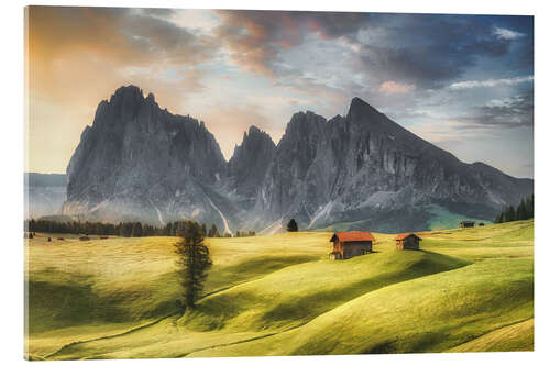 Akrylbilde Alpine meadow on the Seiseralm in the Dolomites