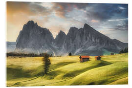 Acrylic print Alpine meadow on the Seiseralm in the Dolomites