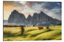 Aluminium print Alpine meadow on the Seiseralm in the Dolomites