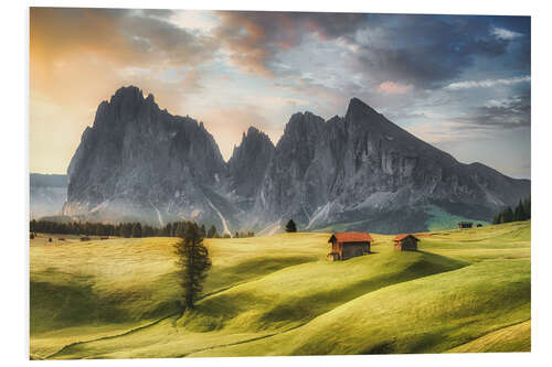 Foam board print Alpine meadow on the Seiseralm in the Dolomites