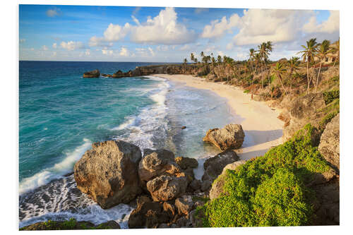 Stampa su PVC Prima luce, Barbados