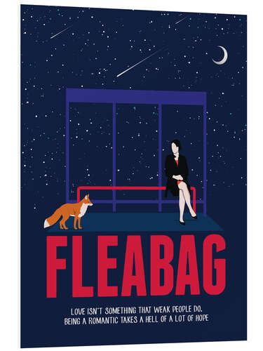 PVC-tavla Fleabag