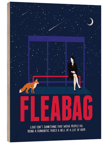 Trebilde Fleabag