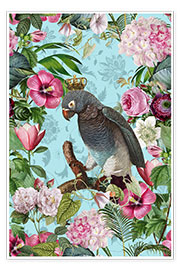 Poster Roi perroquet