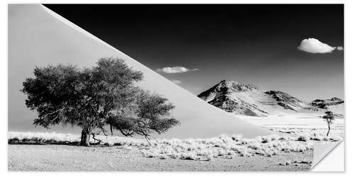 Sisustustarra The dune