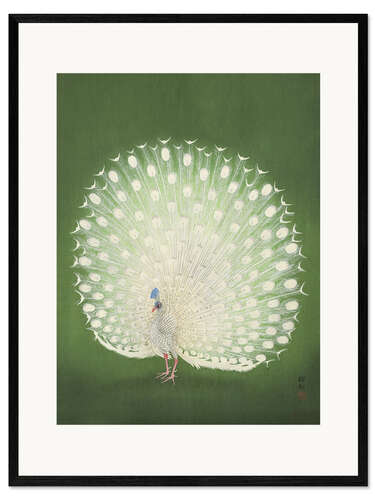 Ingelijste kunstdruk White peacock
