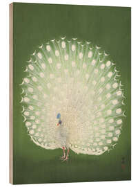 Print på træ  White peacock - Ohara Koson