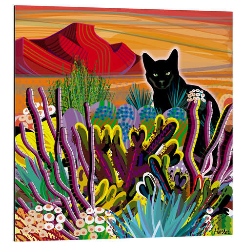 Aluminium print Cat in Desert Garden