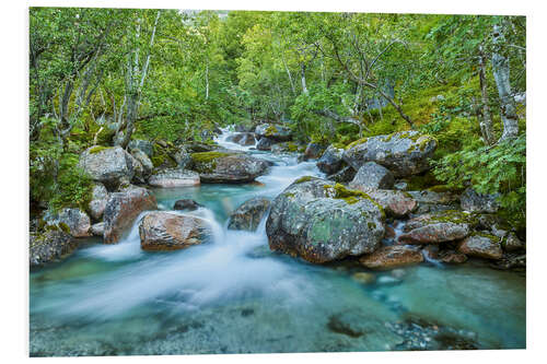 Hartschaumbild Wildes Norwegen