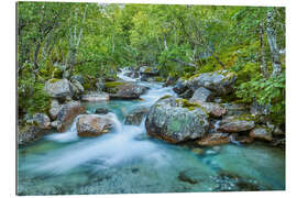 Galleriataulu Wild Norway