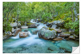 Muursticker Wild Norway