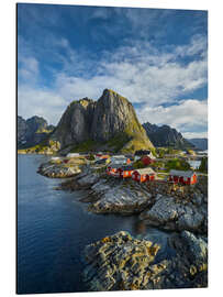 Aluminium print Lofoten