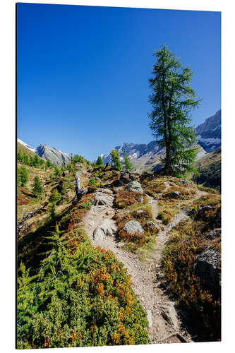 Aluminium print Hiking trail above Fafleralp, Switzerland