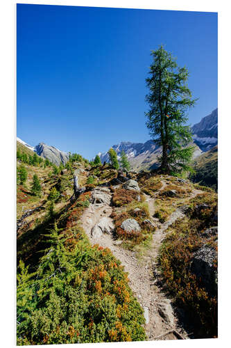 Print på skumplade Hiking trail above Fafleralp, Switzerland