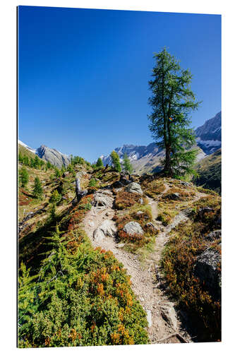 Gallery print Hiking trail above Fafleralp, Switzerland