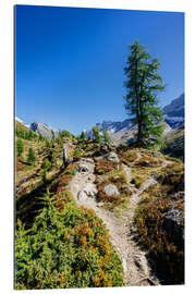 Gallery Print Wanderweg oberhalb von Fafleralp, Schweiz