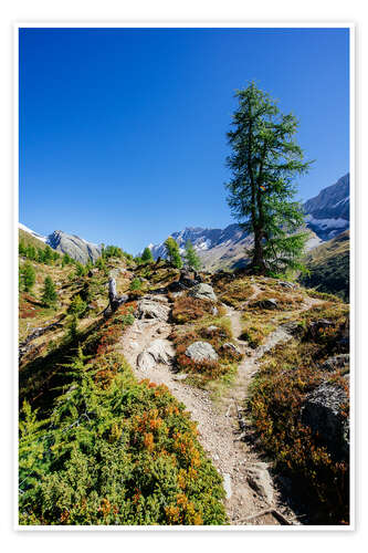 Poster Hiking trail above Fafleralp, Switzerland