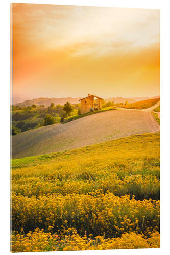 Acrylic print The flowering in Langhe