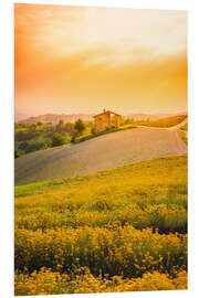 Hartschaumbild Die Blüte in Langhe