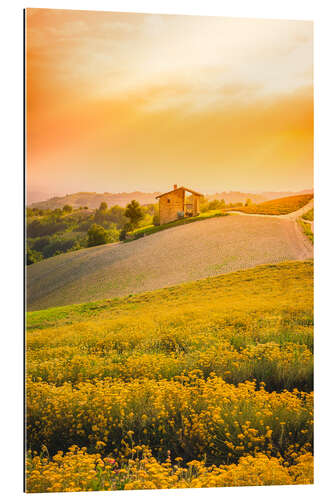 Gallery print The flowering in Langhe