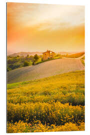 Gallery print The flowering in Langhe