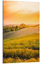 Magnettafel Die Blüte in Langhe